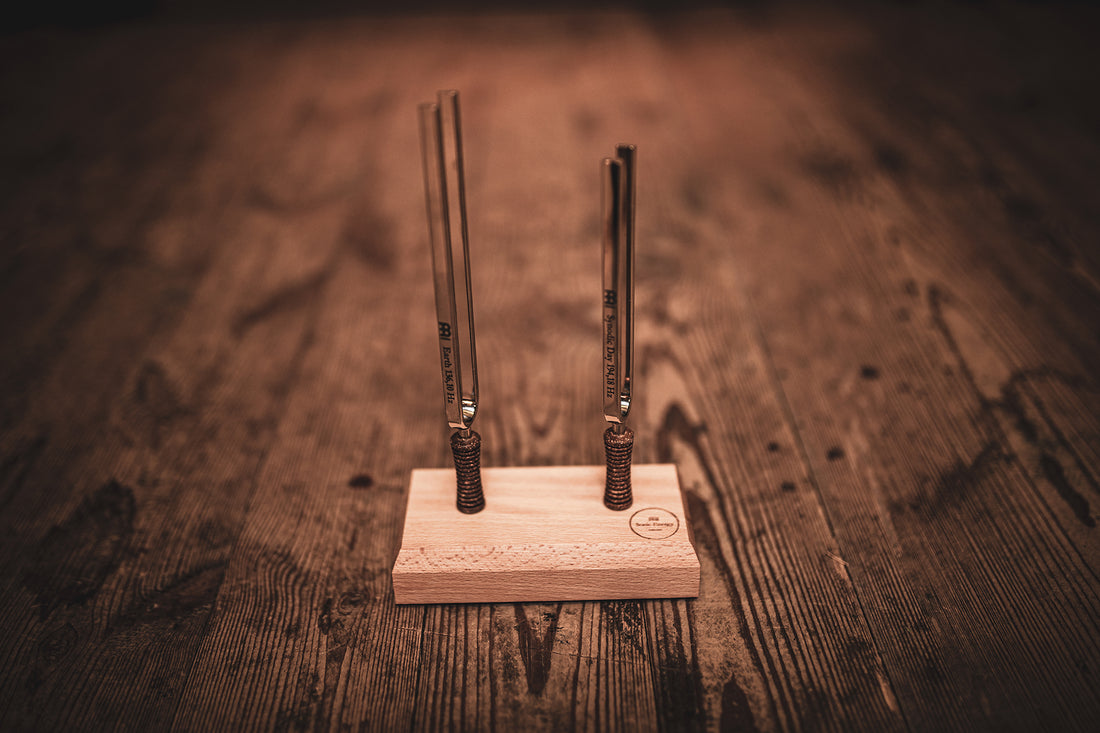 2-Piece Day &amp; Night Planetary Tuned Tuning Fork Set incl. Holder