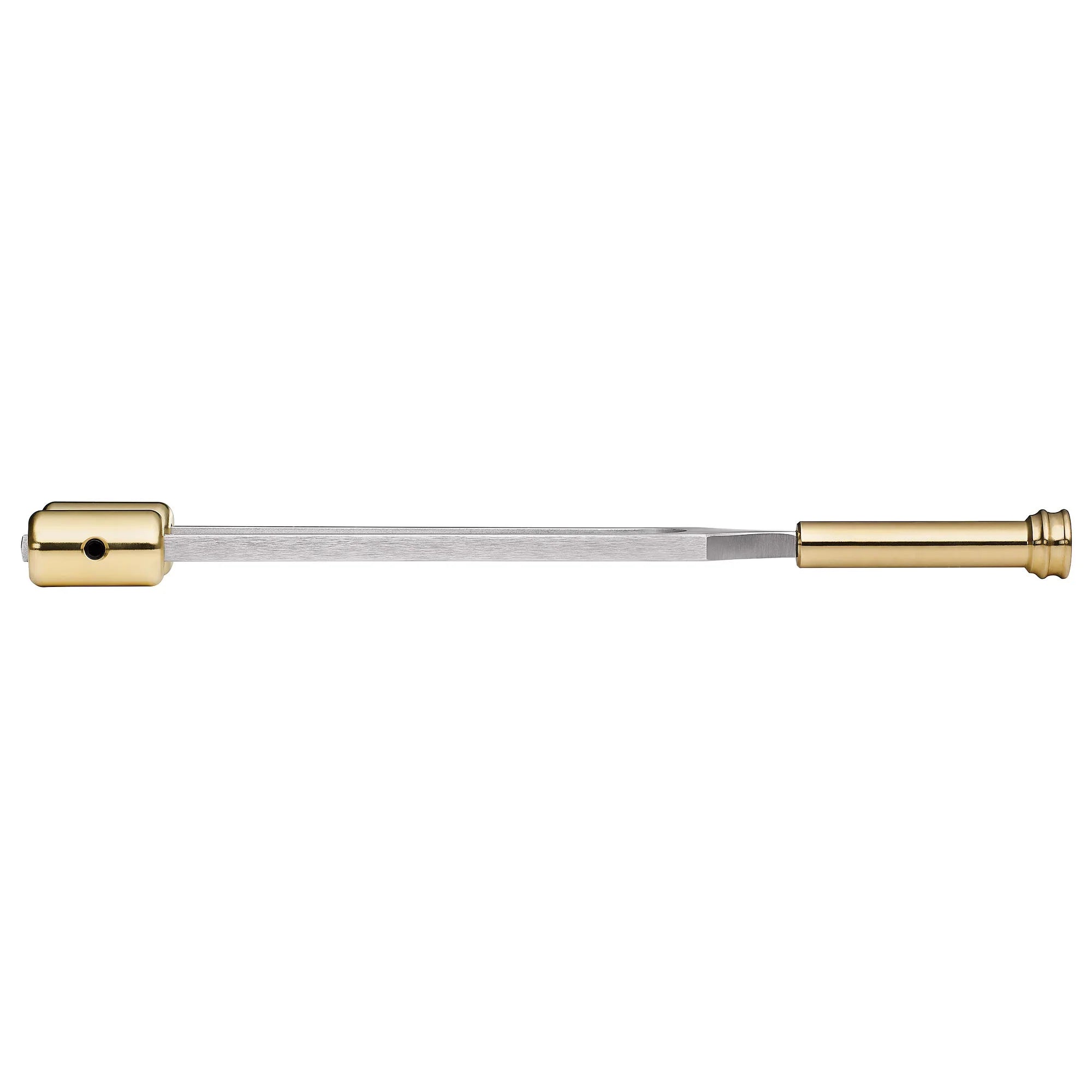 Grounding Therapy Tuning Fork, Weighted Master Fork 64 Hz
